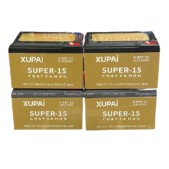 Ắc quy xe đạp điện chính hãng