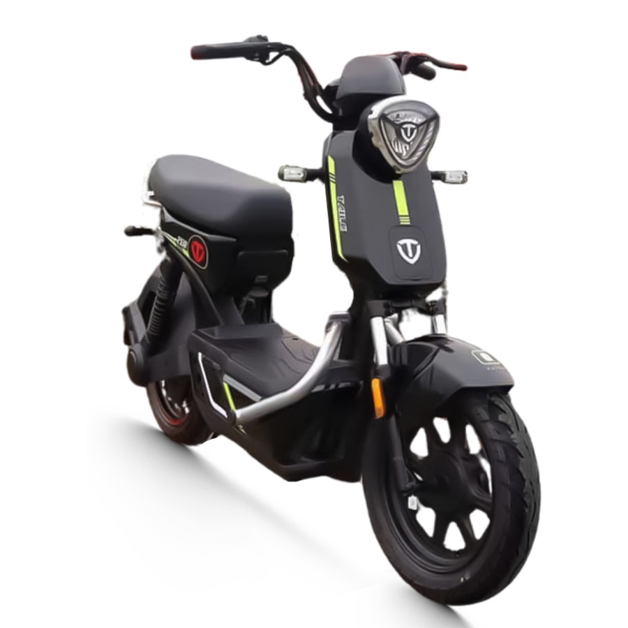 Xe đạp điện TAILG GX30 màu đen huyền bí