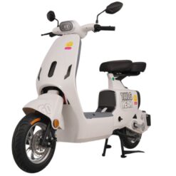 Xe đạp điện TAILG GR55 màu trắng tinh khôi