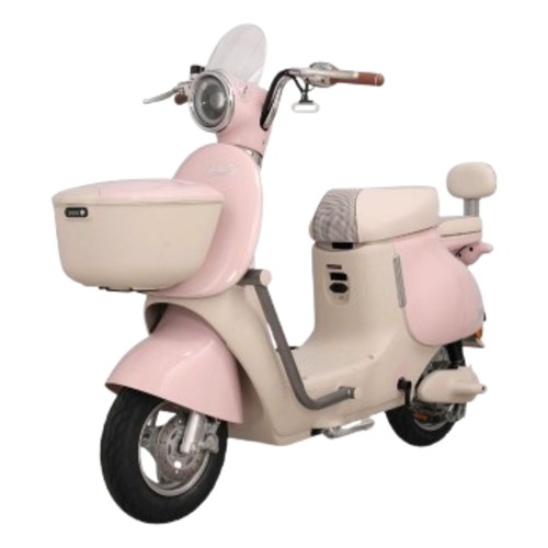 Xe đạp điện TAILG GR54 – Gọn nhẹ, bền bỉ, phù hợp di chuyển hằng ngày