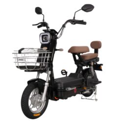 Xe đạp điện TAILG JK51 màu đen huyền bí