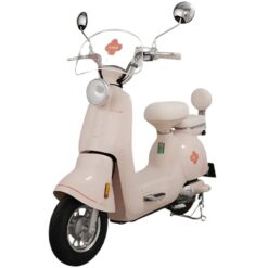 Xe đạp điện TAILG JS50 màu hồng nhạt đẹp mắt