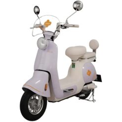 Xe đạp điện TAILG JS50 màu tím nhạt phong cách