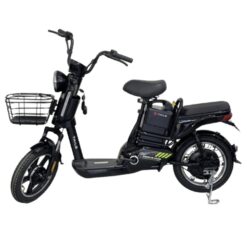 Xe đạp điện TAILG JY34 màu đen huyền bí