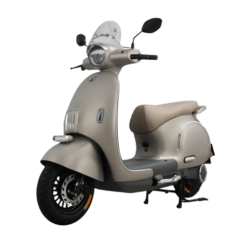 Xe máy điện tailg R60 màu nâu