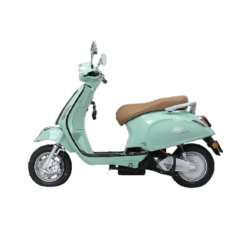 Mặt ngang xe điện tailg r51