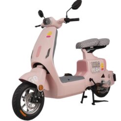 Xe đạp điện TAILG GR55 màu hồng