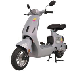 Xe đạp điện TAILG GR55 màu xám lông chuột