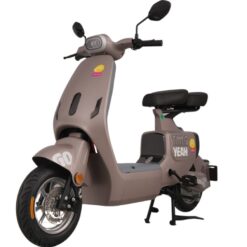 Xe đạp điện TAILG GR55 màu nâu phong cách