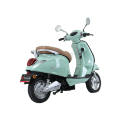 Mặt sau xe tailg R51