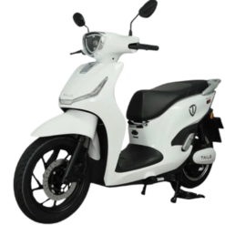 Xe máy điện Tailg T60 màu trắng