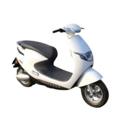 Xe Máy Điện TAILG R53 màu trắng tinh khôi