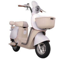 Xe đạp điện TAILG GR54 màu xám