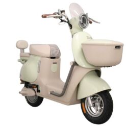 Xe đạp điện TAILG GR54 màu xanh đá