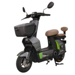 Xe đạp điện TAILG Wukong GT50 tem xanh độc đáo