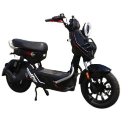 Xe đạp điện TAILG X51 màu đen khỏe khoắn