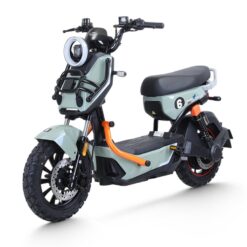 Xe đạp điện TAILG X51 – Động cơ 800W mạnh mẽ, pin LFP 60V, vận hành vượt trội