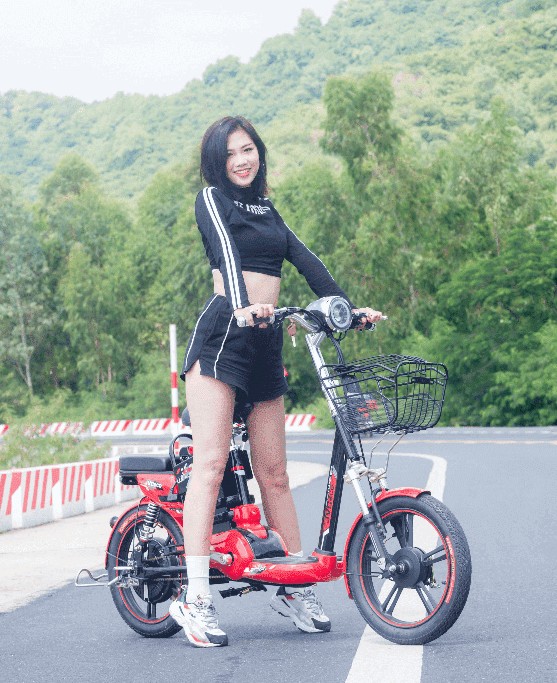 Xe đạp điện có tốn nhiều chi phí bảo dưỡng không?