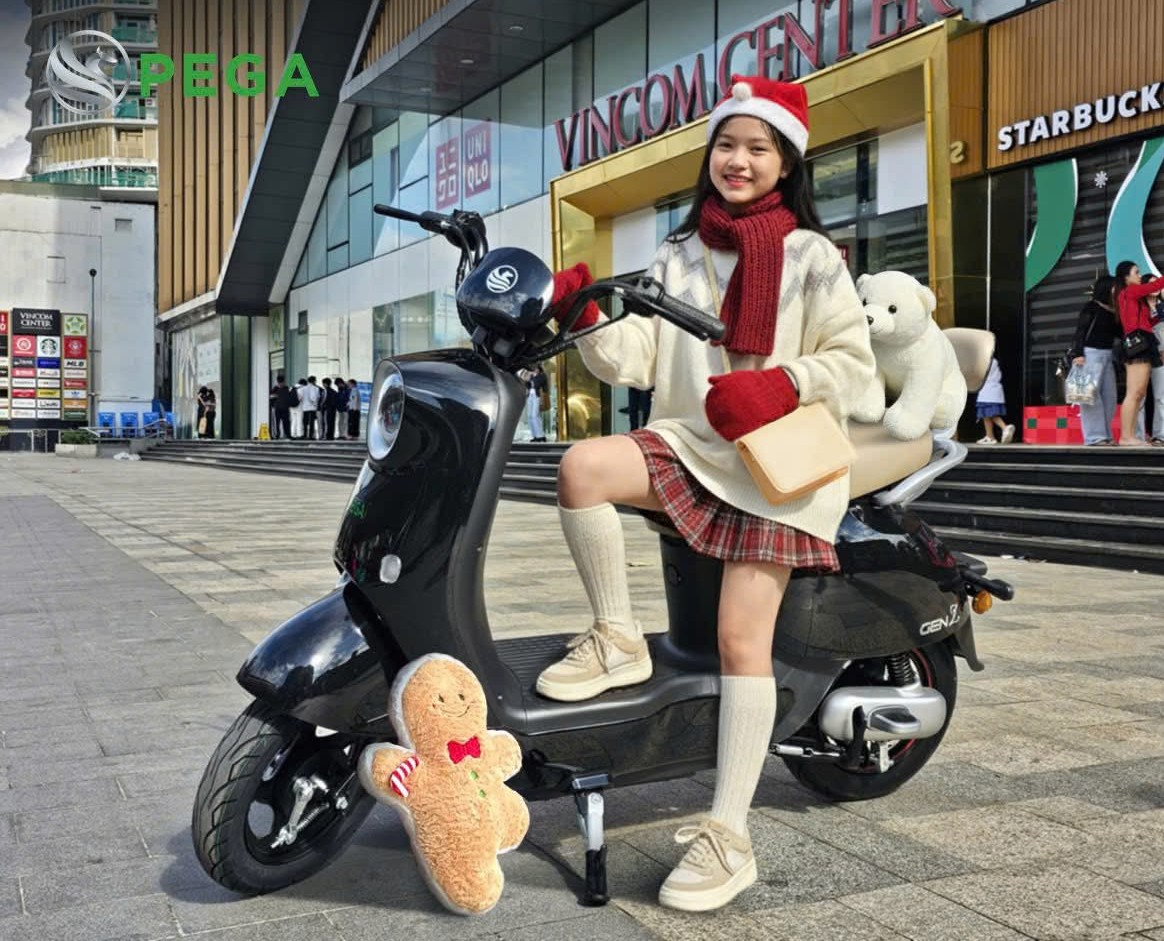 xe đạp điện pega Genz